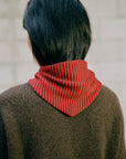 Daisy Scarf - Cherry and Chestnut Stripe