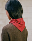 Daisy Scarf - Cherry and Chestnut Stripe